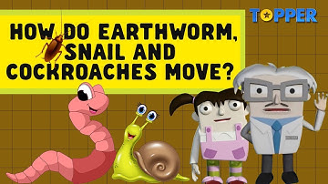 Movement of Earthworm, Snail and Cockroaches | Class 6th Biology |