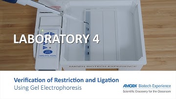 Laboratory 4: Verification of Restriction and Ligation Using Gel Electrophoresis