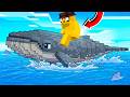 SUPRAVIETUIESC pe O BALENA pe MINECRAFT!