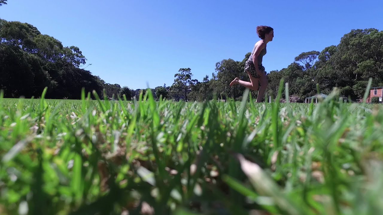 Phantom 3 First Flight -Tunks Park Cammeray