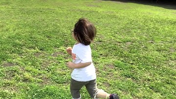 Beholder 3 Axis Handheld Gimbal Stabilizer test footage