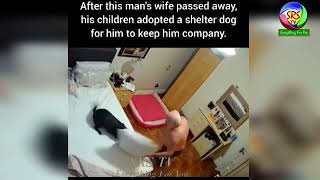 @After Wife passed away @Children @Adopted Shelter Dog #For Father II SRSTV (Everything For You) #1k