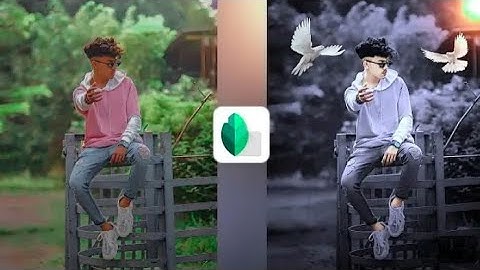 Snapseed Grey And Bird Effect Photo Editing Tricks📸📸 Snapseed Background Colour Change Tutorials