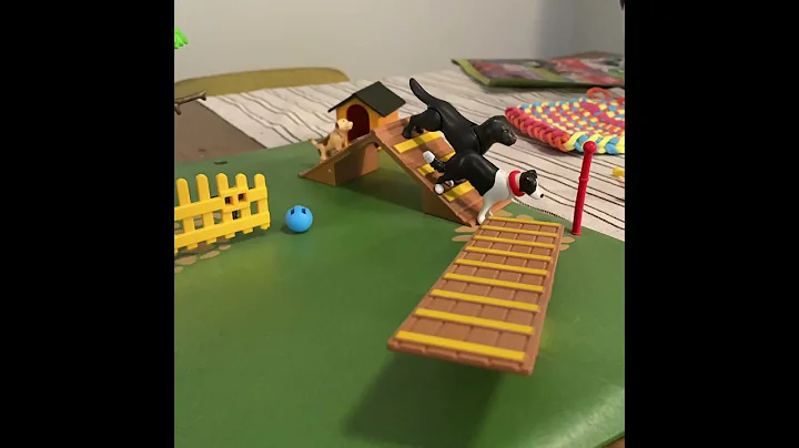 The Dog Race