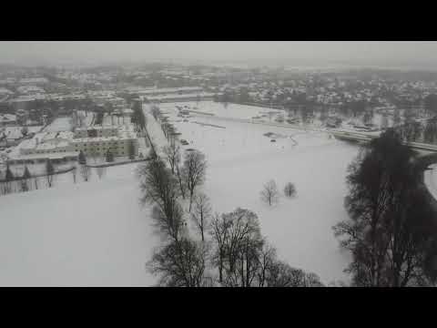 Park Miejski w