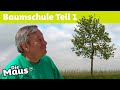 Wie Bäume in die Stadt kommen 🌳 | Die Maus