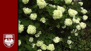 Campus Gardens - HD (Part 4)