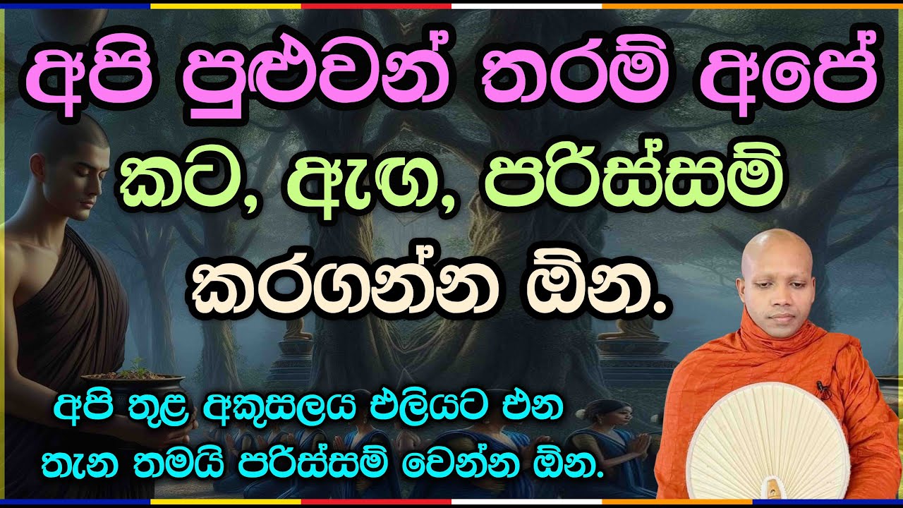 අපි පුළුවන් තරම් අපේ කට, ඇඟ, පරිස්සම් කරගන්න ඕන.2881 Ven Hasalaka Seelawimala Thero #bawana