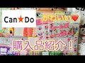 100円均一【キャンドゥ Can Do】購入品紹介！文房具、かわいいシール