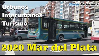Mar Del Plata 2020 - Urbanos Interurbanos Y Turismos