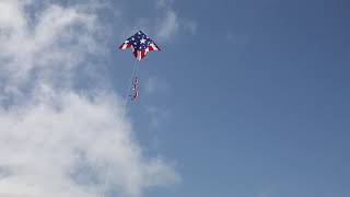 USA Patriotic Star Delta Kite | Available at KiteGarden.com