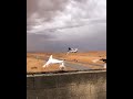 حمامي قلي متى بتوب