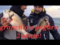 due bei pesci con la canna da pesca e l&#39;innesco di granchio e paguro. fishing video