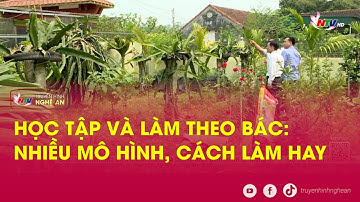 Học tập và làm theo Bác: Nhiều mô hình, cách làm hay