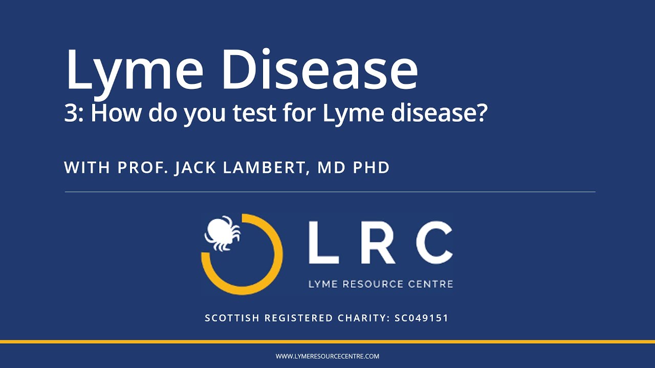 Lyme Disease - Small Bites for GPs 3: How do you test for Lyme disease?