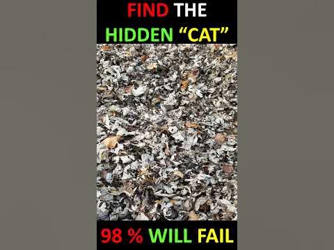 Find The Hidden object | Optical Illusion | Illusion Arts | 3D ...