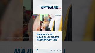 Viral Majikan Asal Arab Saudi Hadiri Pernikahan di Indonesia, Beri Hadiah & Sawer Tamu