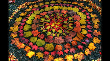 Found Object Mandala in Nature