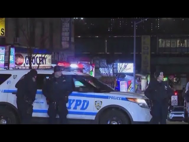 Teen Arrested In Deadly Bronx Subway Shooting Nypd