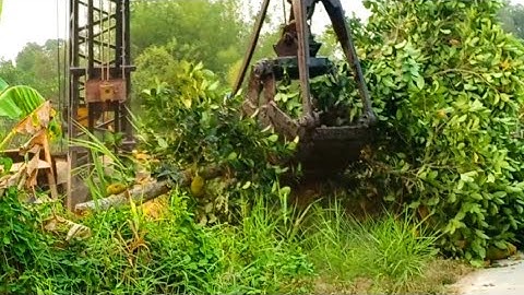 CẬN CẢNH SÁNG DÂY - SÁNG NHỔ CÂY - VÉT KÊNH #01