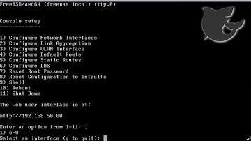 ESXi on Gen8 - FreeNAS setup