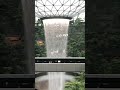 #changiairportsingapore