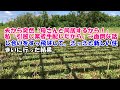【スカッとする話】夫から突然「母さんと同居するから!」私「引越し業者手配したから」→面倒な話し合いをすっ飛ばして、さっさと新しい住まいに行った結果【スカッとじゃぱん】