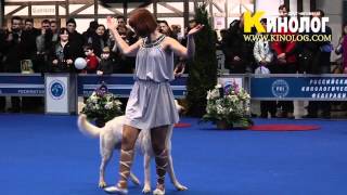 Dog dancing show 'Eurasia  2012 / Russia / Moscow'. Freestyle. by KinologVideo 5,974 views 12 years ago 2 minutes, 45 seconds