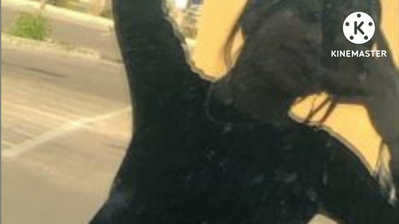 ♪"ᴄᴜᴛᴇ ᴅɪᴠɪɴᴇ ғᴇᴍɪɴɪsᴍ ʙᴇᴀᴜᴛʏ sᴜʙʟɪᴍɪɴᴀʟ "♪