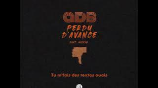 ADB - Perdu D'avance feat. Micky R  (Lyrics video)