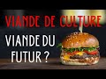 Viande cultive  des spcialistes rpondent  vos questions 