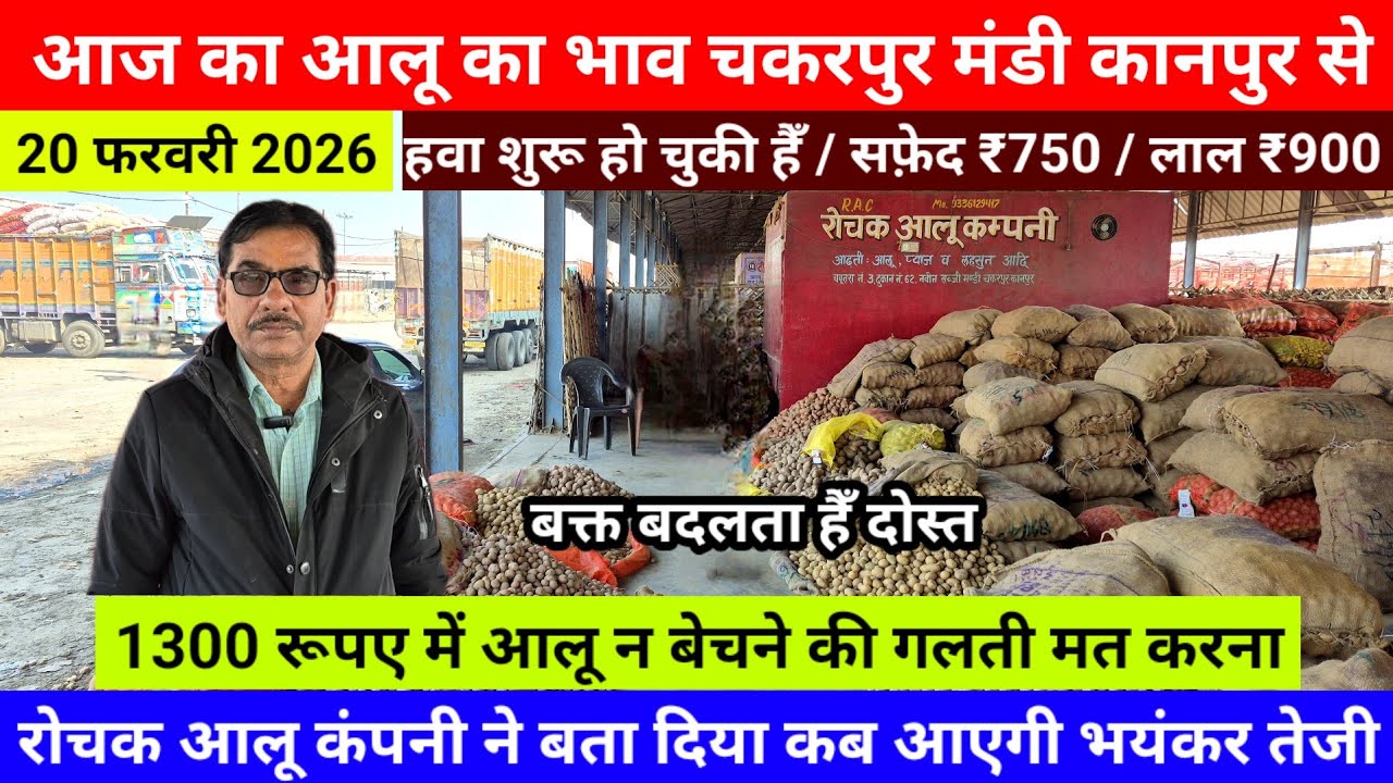 20फरवरी आज का आलू का भाव चकरपुर मंडी कानपुर से रोचक कंपनी ने बता दिया कब आएगी भयंकर तेजीAalu Ka Bhav