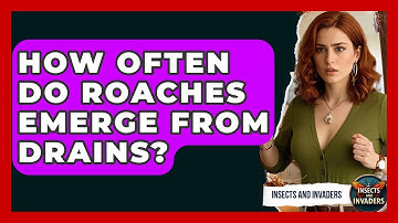 How Often Do Roaches Emerge From Drains? - Insects and Invaders