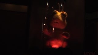 Alien Encounter Pre-Show Featuring Skippy