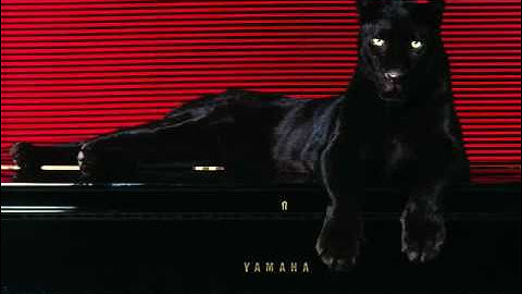 The Bitwise Operators - Terry (1998)