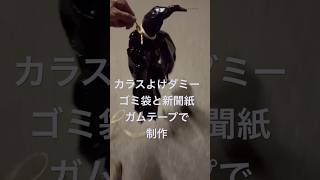 ゴミ袋で作るカラスよけ #shorts #カラス #かかし