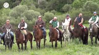 Ruta ecuestre "Castillo de Azagala" 28/04/2018 (Alburquerque)