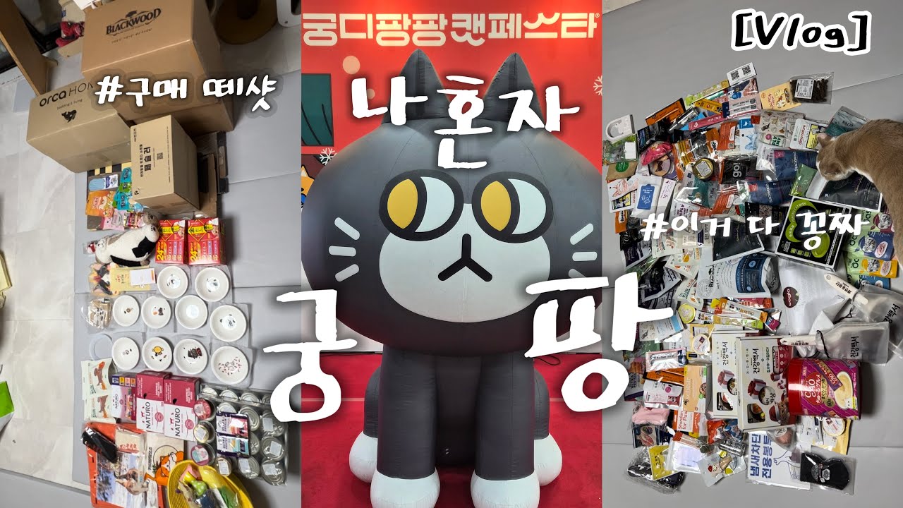 [Vlog] 궁팡만 가면 만수르가 돼버려..🤑연짱으로 불태웠다🔥70만원 쓰고 온 후기|제35회 궁디팡팡캣페스타|오픈런|이벤트 1등 당첨|집사 추천템|SETEC|고양이 용품 박람회|