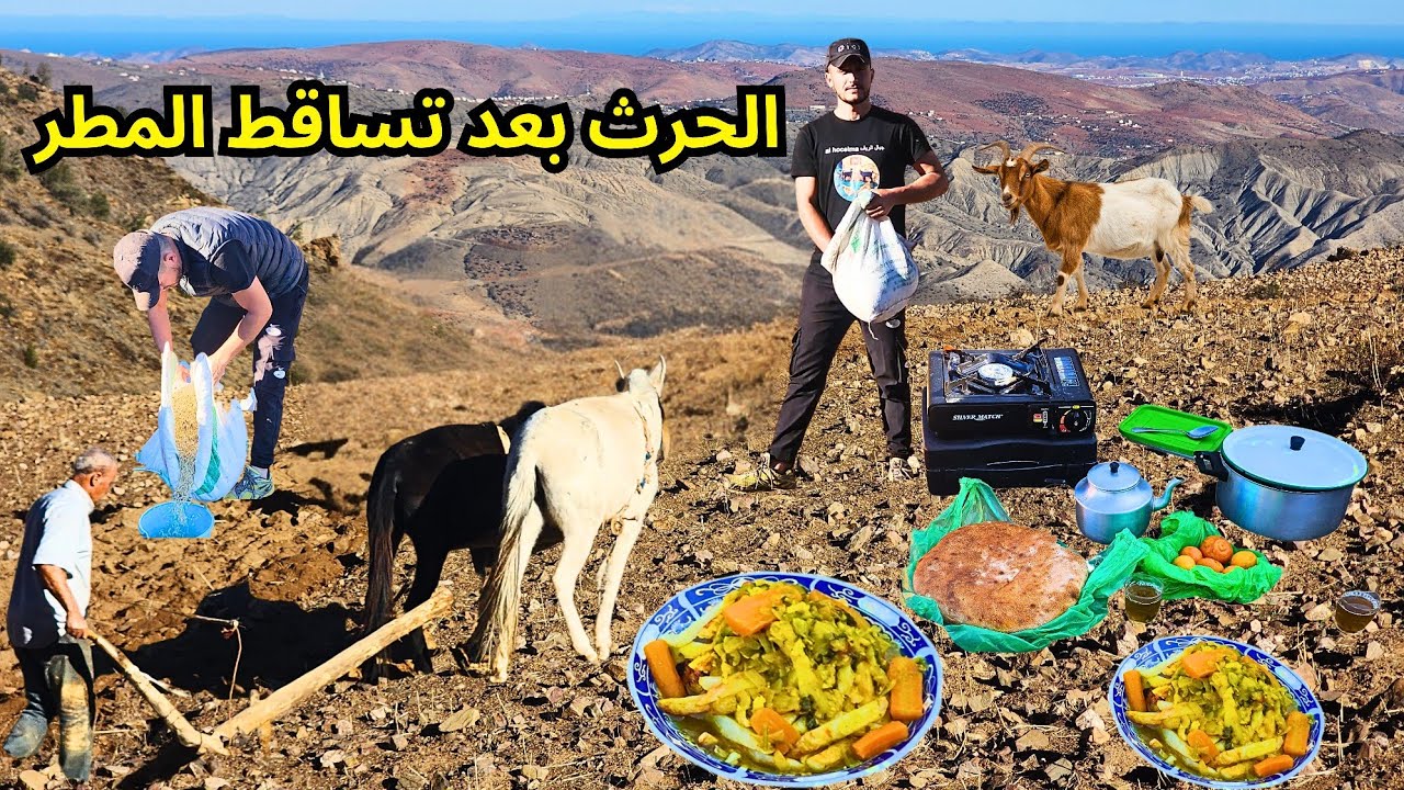 بعد تساقط الأمطار الفلاحون يقمون بالحرث التقليدي من تراث أجدادنا في جبال الريف... ايت وياغر الحسيمة 