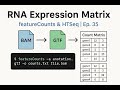 Extract RNA Expression Counts | featureCounts &amp; HTSeq | RNA-Seq Pipeline Ep. 35