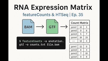 Extract RNA Expression Counts | featureCounts & HTSeq | RNA-Seq Pipeline Ep. 35