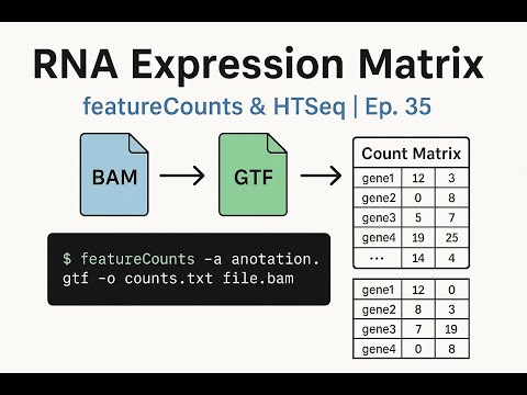 Bioinformatics Data Analysis using Linux, Python & R - BioInformatix on SyncStudy