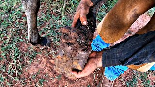 Ficamos surpresos quando vimos o tamanho do problema!