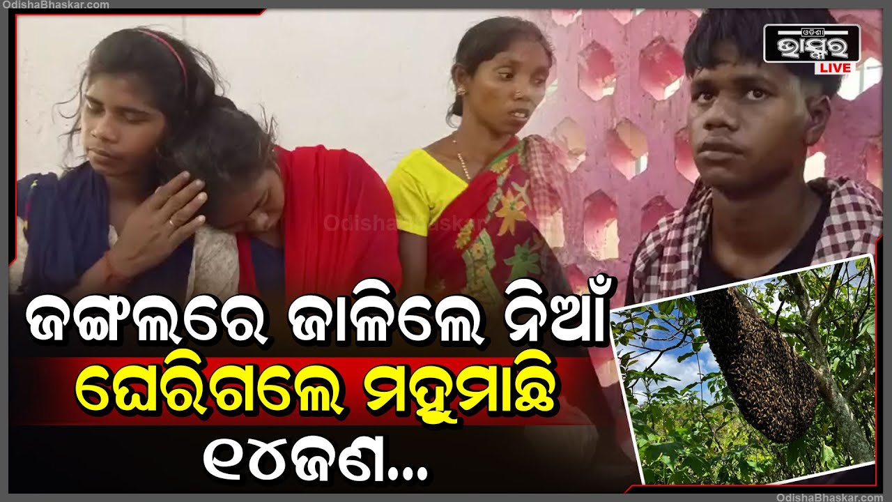 ରୋଷେଇ ପାଇଁ ଜାଳିଲେ ଚୁଲି ହେଲେ ହଠାତ ଘେରିଗଲେ ମହୁମାଛି, ଏବେ ୧୪ ଜଣ....