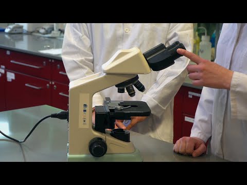 Video: Má mikroskop rozlišovací schopnost?