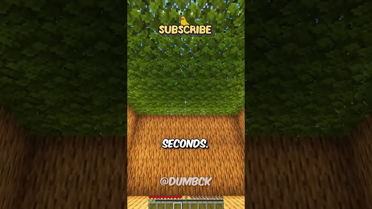 INSTANT HOUSE in Minecraft! ⛏️ 