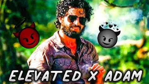 ADAM 😈FT - ELEVATED STATUS !! Zombie part 2 r2h edit status 🔫video