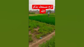 تلاوه خاشعه بصوت الشيخ ماهر المعيقلي #قرآن #quran #ماهر_المعيقلي