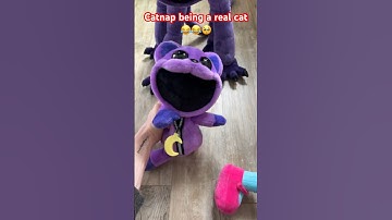 Catnap being a real cat 🥰🥺😂 #plushvideos #plushtoys #catnap #poppyplaytime