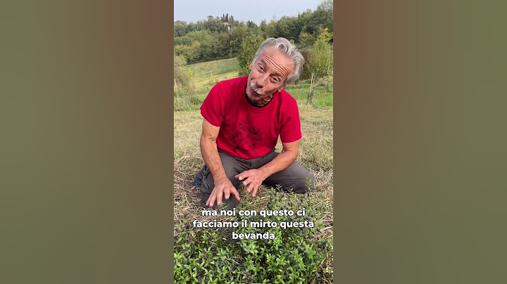 Il Mirto!🫐🤣
